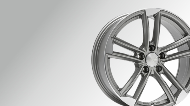 banner-3